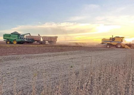 Colheita da soja e plantio do milho entram na fase final em MS