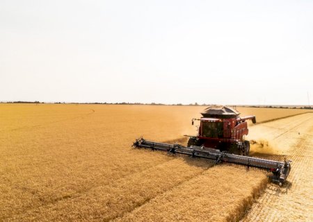 Preço do trigo sobe em abril com oferta restrita no mercado interno