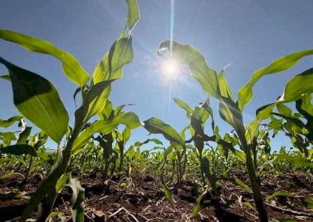 Crédito rural recua 39,5% em abril