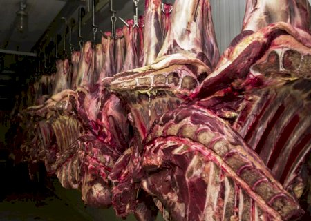 China recebe pedido do Brasil para habilitar 33 novos frigoríficos
