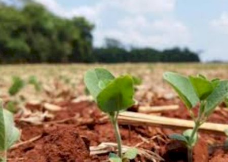Área tratada com bioinsumos cresce 28% e chega a 194 milhões de hectares