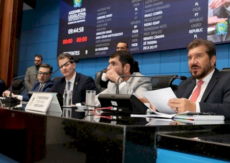 Ordem do Dia: Deputados aprovam projeto que divulga informações sobre depressão infantil