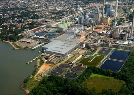 Gigante da celulose ameaça levar megaprojeto de R$ 27 bilhões ao Paraguai e expõe a burocracia ambiental no Brasil