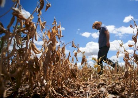 Renegociação de dívidas rurais vai se limitar a R$ 170 bilhões
