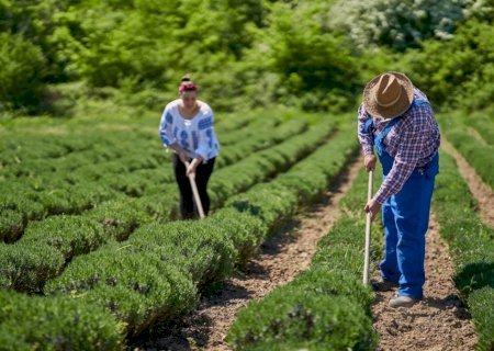 Novo Desenrola Rural: Governo do Brasil amplia a renegociação de dívidas da agricultura familiar