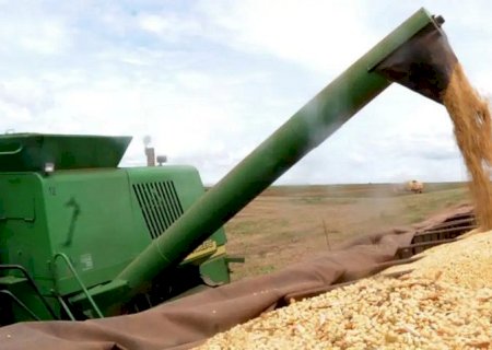 MS registra 2º maior crescimento entre principais estados produtores do país e dispara no agronegócio