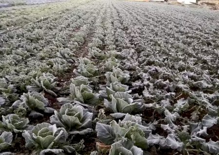 Atenção no campo: como frentes frias e temporais vão ditar o ritmo da sua safra neste inverno