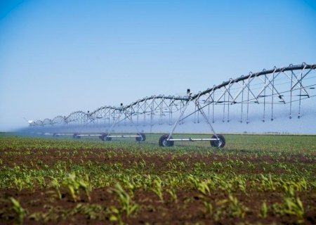 Irrigação transforma produtividade e garante mais segurança ao produtor rural