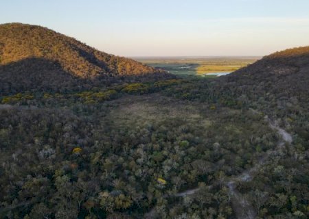 Para preservar o Pantanal, produtores rurais têm ações de conservação remuneradas por programa do Governo de MS