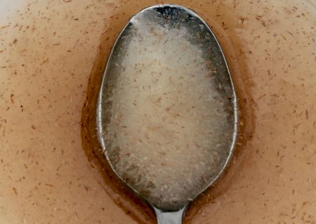 Psyllium funciona para digestão e colesterol, mas não para perda de peso