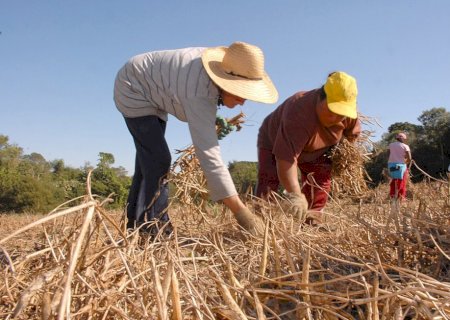 Pequenos produtores poderão ter prazo de 24 meses para corrigir danos ambientais antes de sanções