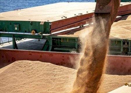 Exportações do agronegócio tiveram receita recorde em julho