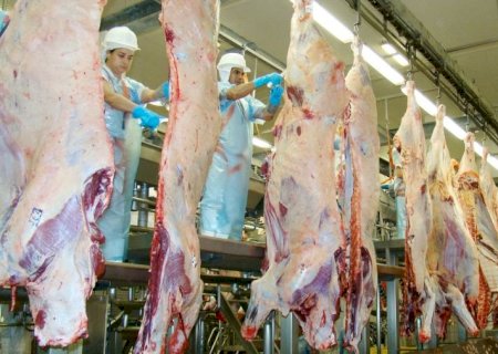 Tarifa dos EUA tem impacto menor que o esperado para o agro de Mato Grosso do Sul