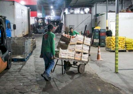 Sindicatos perdem quase 50% dos associados em MS, enquanto cooperativas crescem