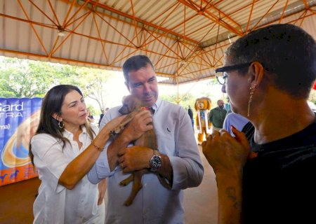 Castração gratuita chega a 25 mil cães e gatos e amplia acesso de famílias em MS