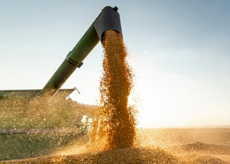 Consumo supera produção e reduz reservas mundiais de milho