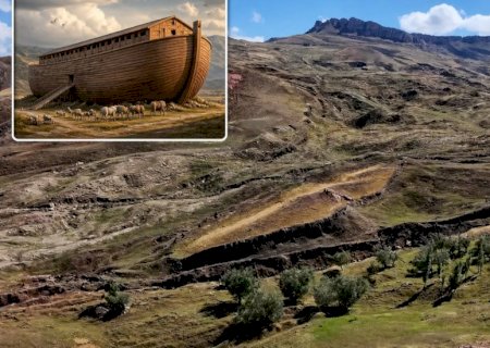 Pesquisador da Arca de Noé pede paciência: “É um projeto de vários anos'